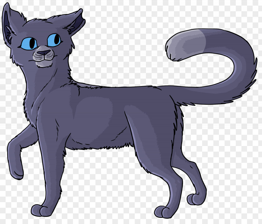 Dog Whiskers Korat Firestar Black Cat PNG
