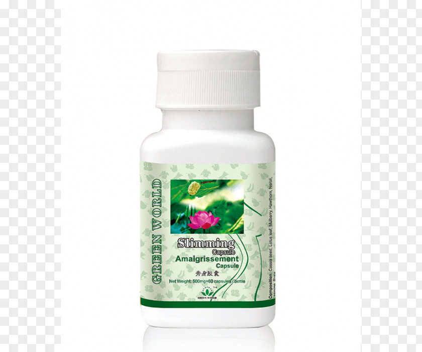 Eco Slim In Pakistan Green World International Dietary Supplement Weight Loss Capsule Food PNG