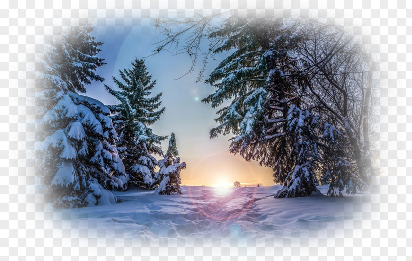 NATURAL LANDSCAPE Desktop Wallpaper Winter Nature Story Snow PNG