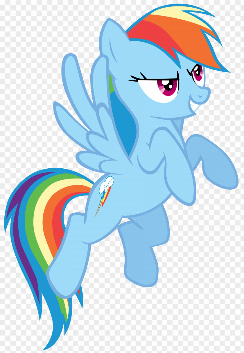 Pegasus Rainbow Dash Rarity Pony PNG