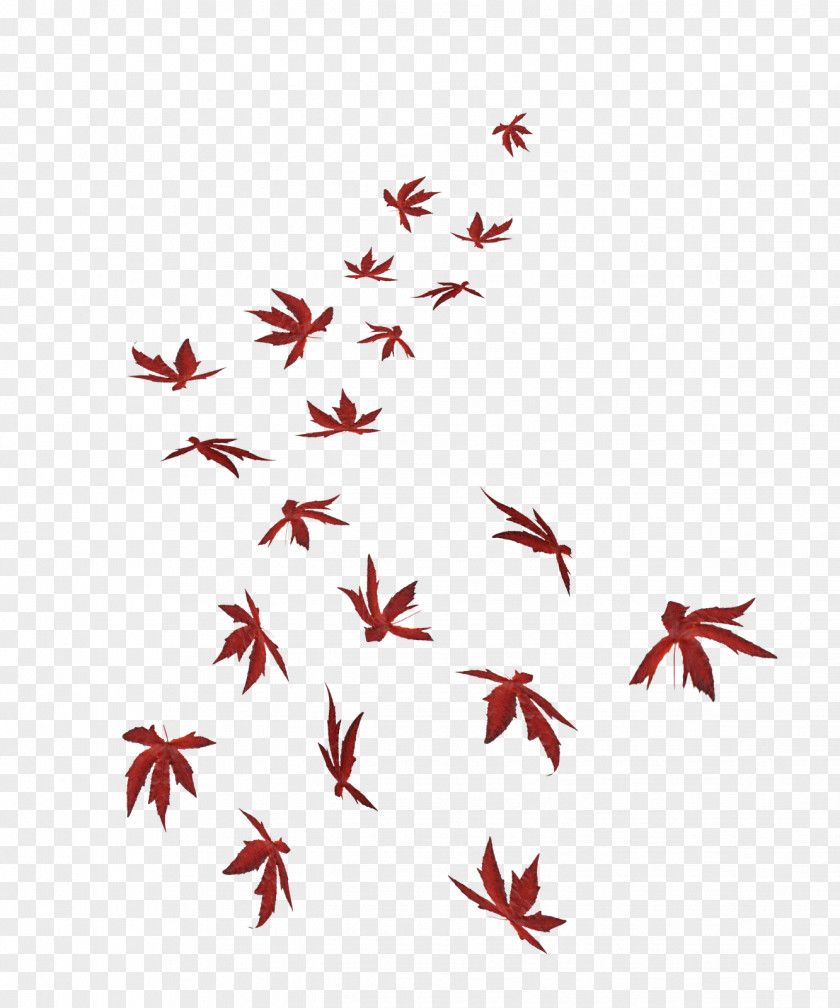 POP ART Maple Leaf PNG