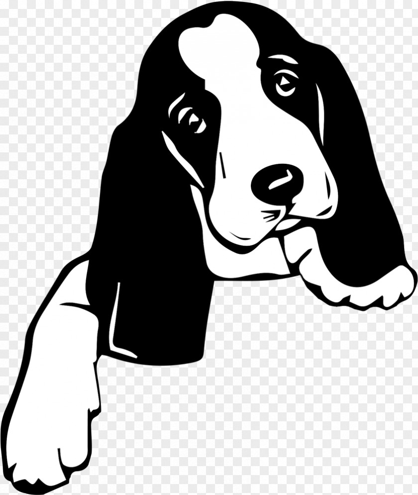 Puppy Dog Breed Basset Hound Animal Rescue Group Cat PNG
