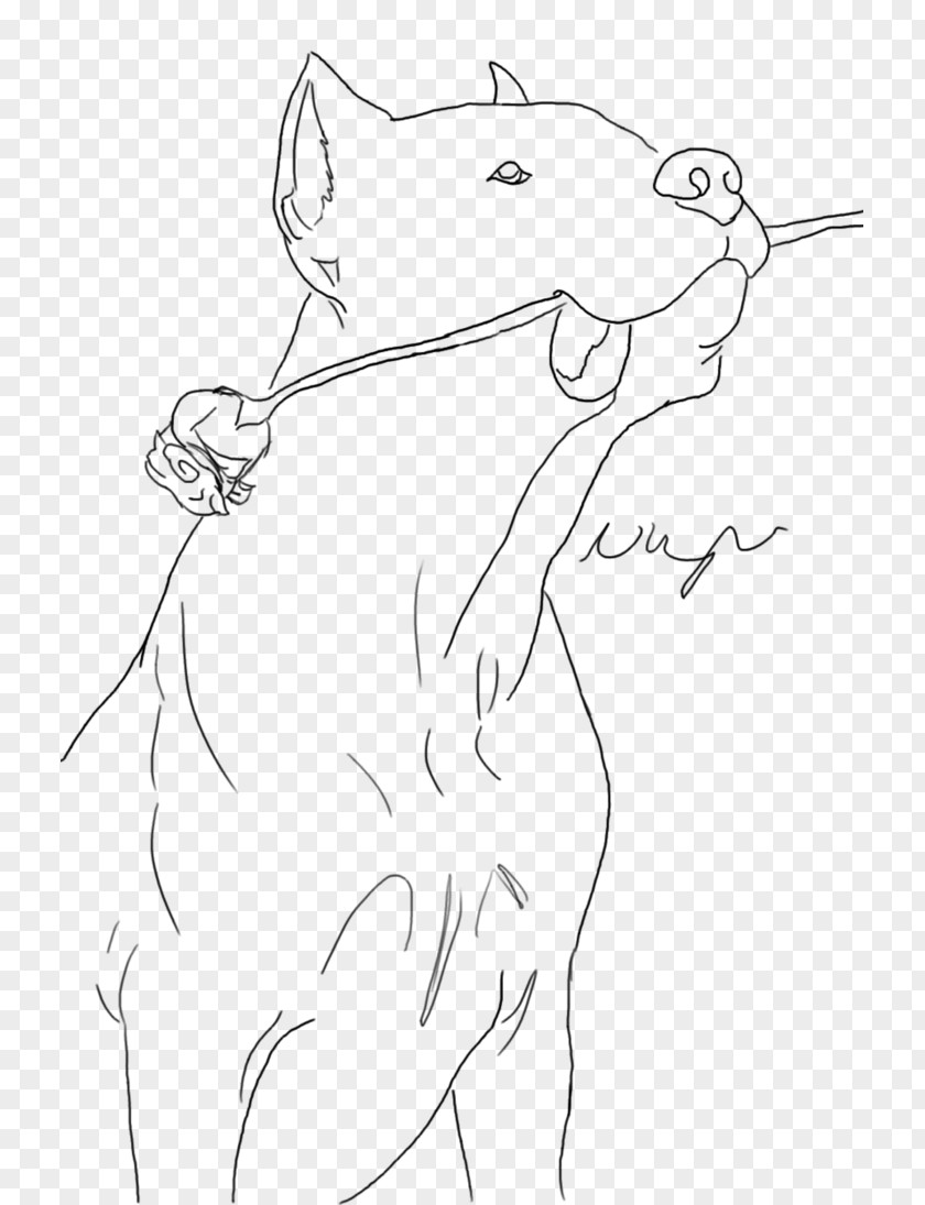 Rat Canidae Drawing Sketch PNG
