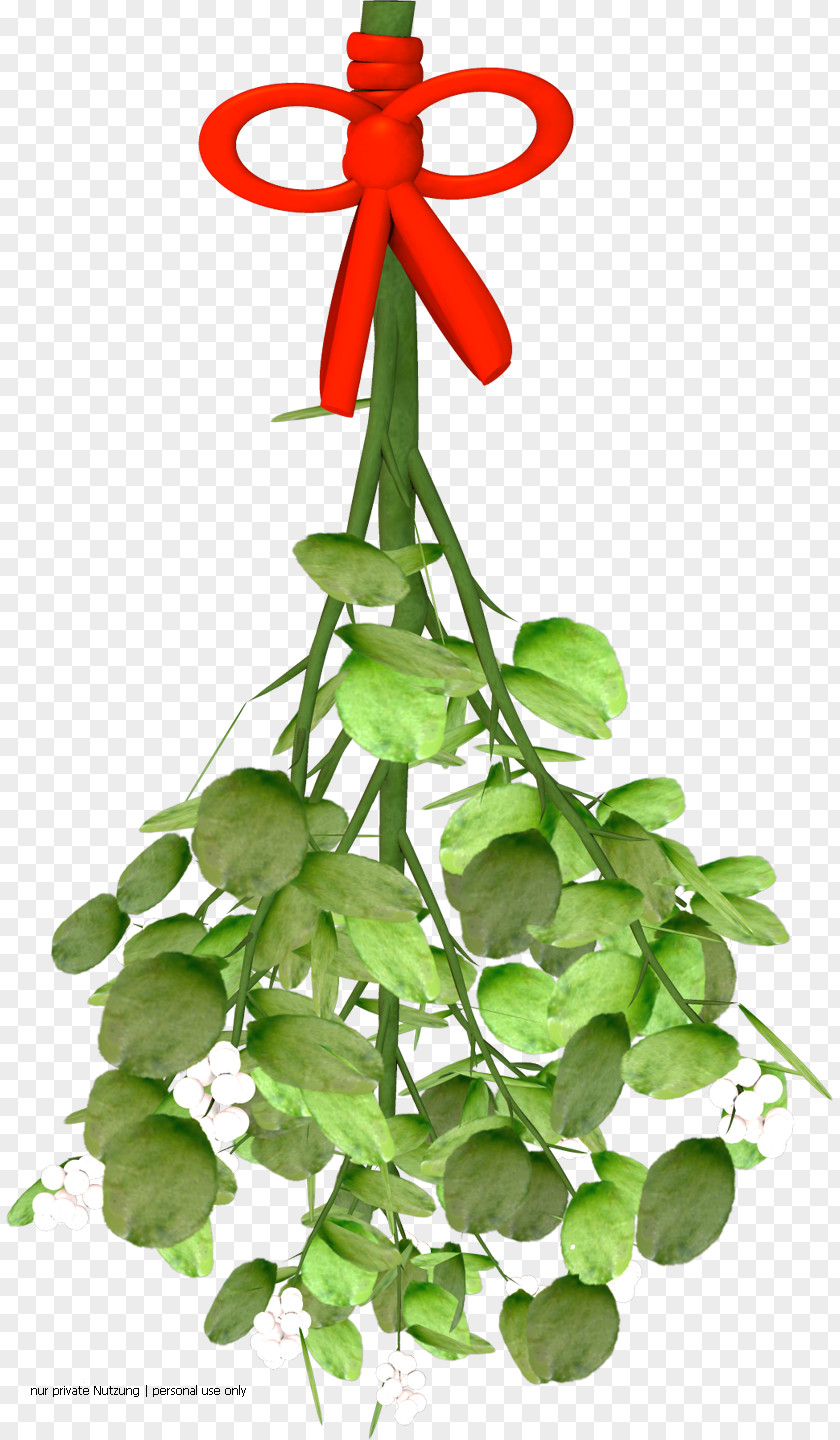 Viscum Flowerpot Plant Stem Symbol PNG