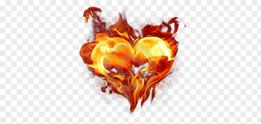 Burning Heart PNG heart clipart PNG