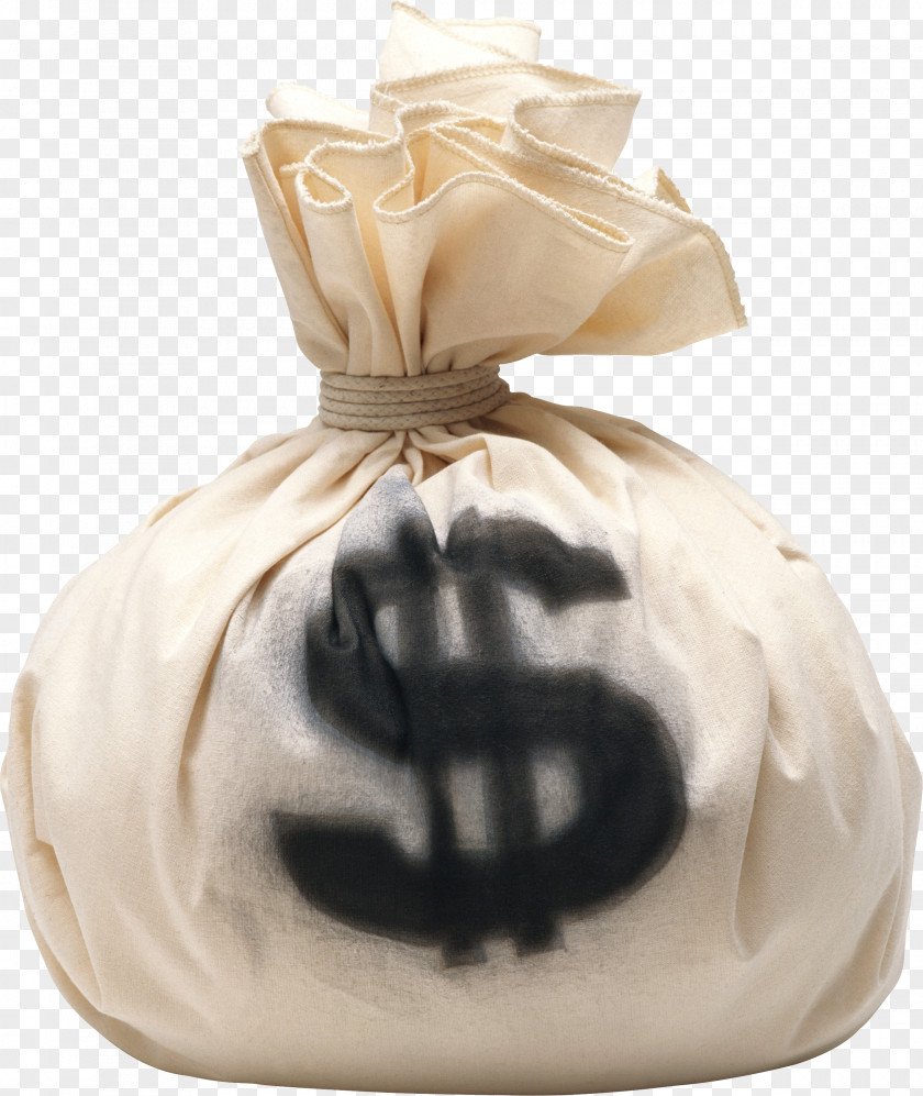Money Image Bag Coin PNG