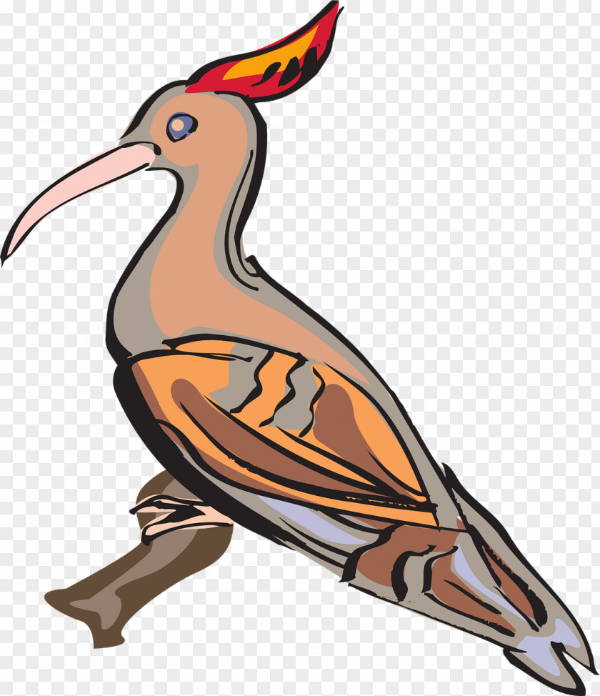 Bird Clip Art PNG