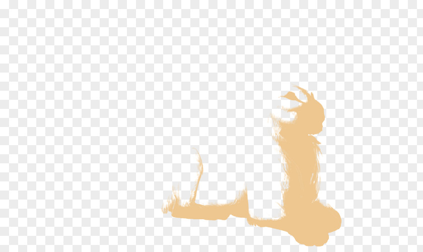 Cat Dog Canidae Desktop Wallpaper Paw PNG