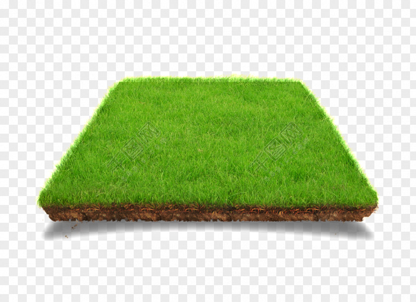 Chandana Mohan Rao Nursery Lawn Garden Artificial Turf Image PNG