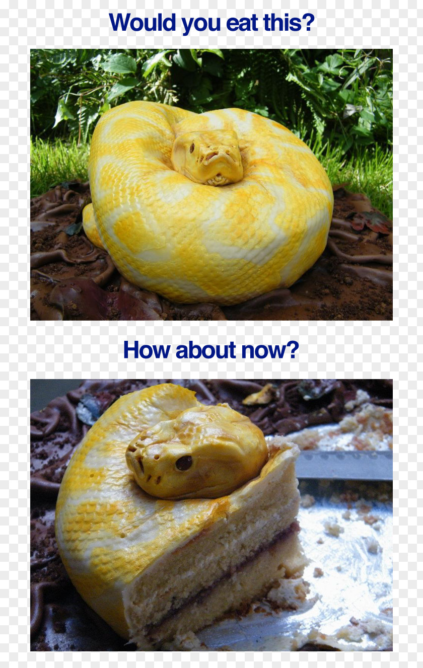 Creative Real Fairy Tale Angel Food Cake Bundt Black Forest Gateau Snake PNG