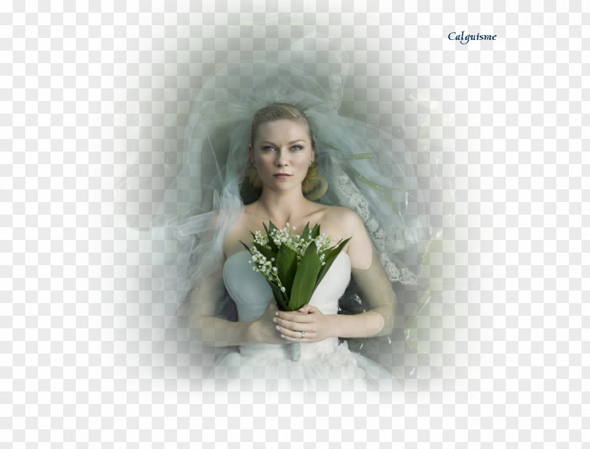 Film Actor Melancholia Kirsten Dunst Lars Von Trier PNG