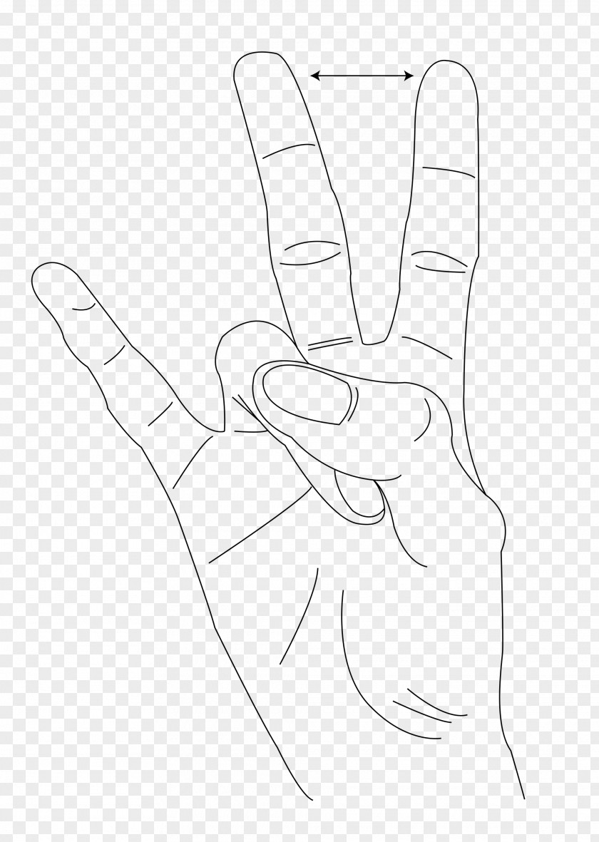 Hand Thumb Model Line Art Clip PNG