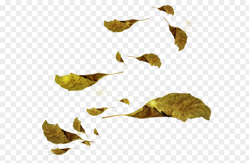 Leaf Autumn Artisans Libres Clip Art PNG