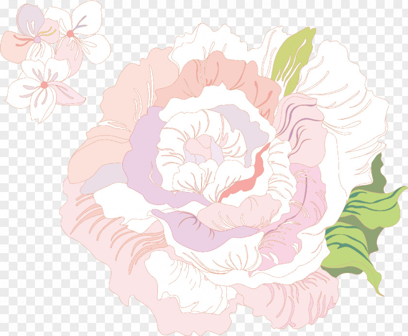 Light Rose Centifolia Roses Illustration PNG