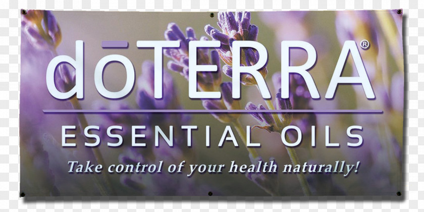 Oil DoTerra Essential Dietary Supplement Health, Fitness And Wellness PNG