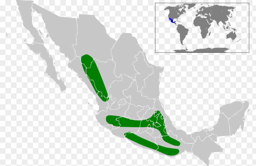 United States Mexico City Guanajuato Map Globe PNG
