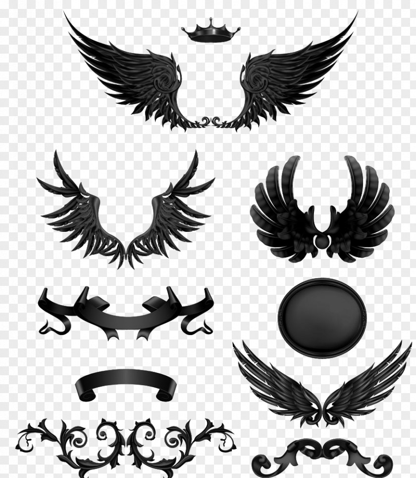 Black Wings PNG