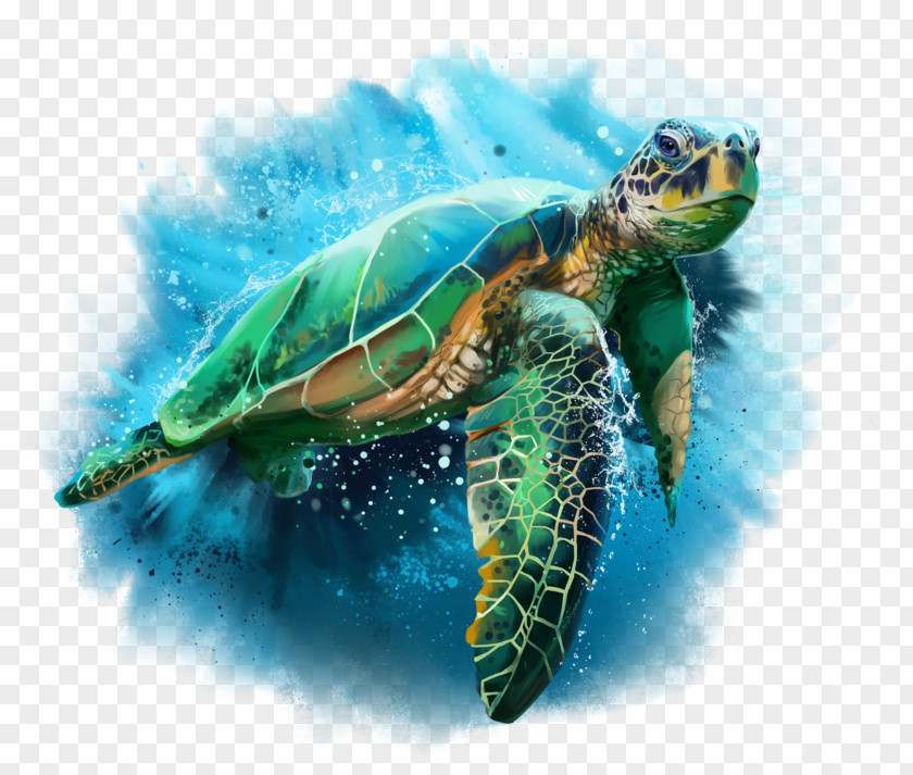 Blue Sea Turtle Drawing Watercolor Painting Cheloniidae PNG