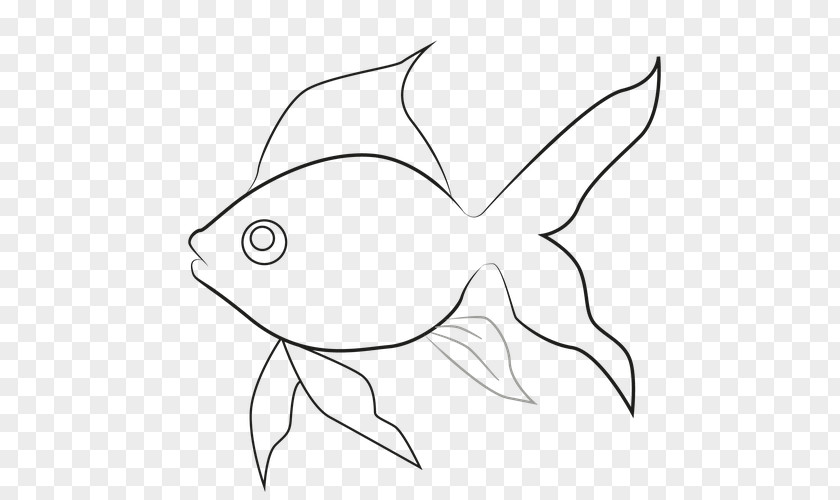 Butterfly Goldfish Drawing Line Art USMLE Step 3 Clip PNG