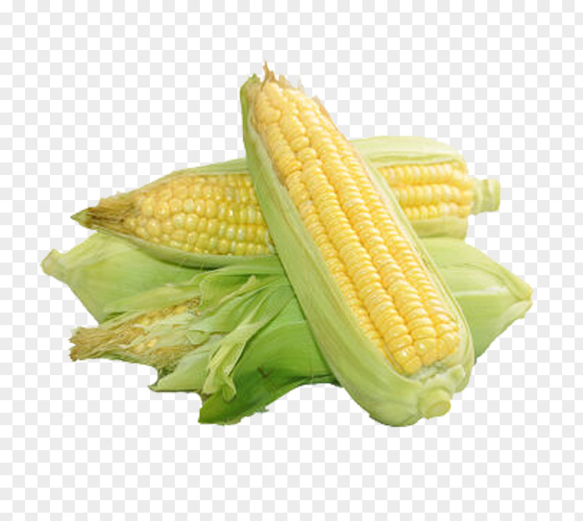 Delicious Corn On The Cob Maize Food Sweet PNG