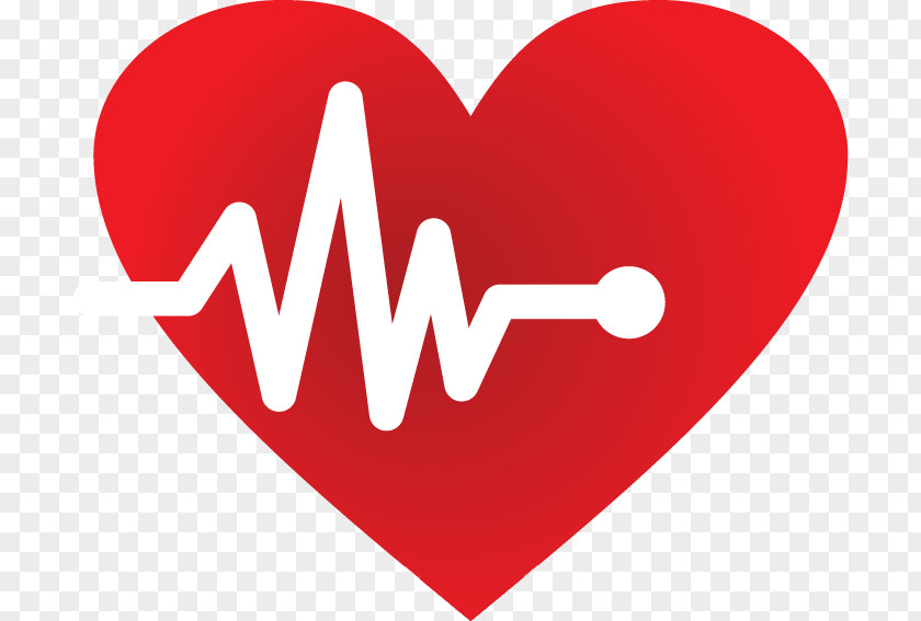 Heart Cardiology Pulse Clip Art PNG