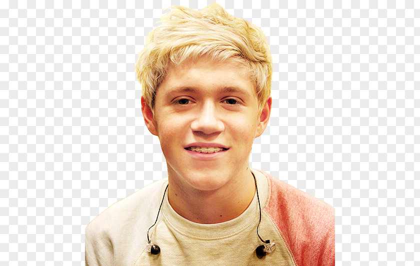 One Direction Niall Horan Direction: This Is Us Mullingar PNG