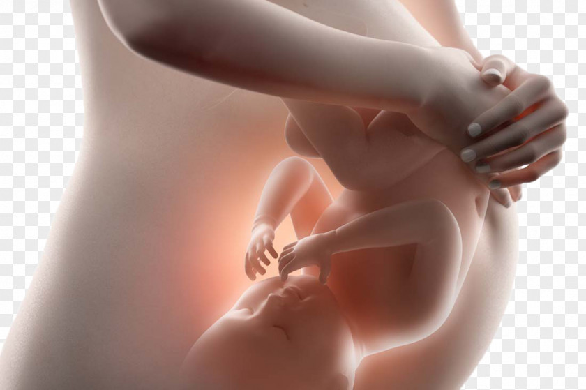 Pregnant Woman Pregnancy Infant Birth Defect Fetus Childbirth PNG
