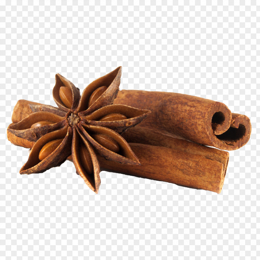 Star Anise PNG anise clipart PNG