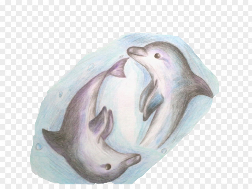 Two Dolphins Sleep Dolphin, Dolphin Porpoise Cetacea PNG