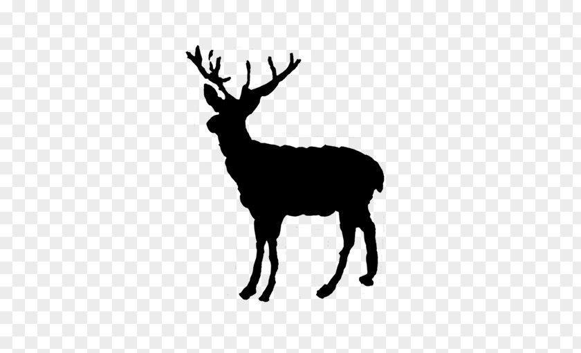 Deer Reindeer Red Elk Christmas PNG