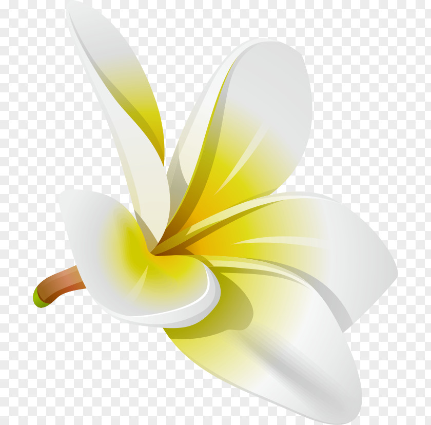 Frangipani Royalty-free Clip Art PNG