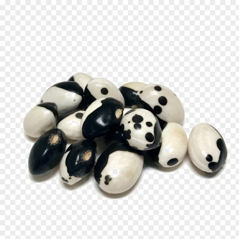 Jacobs Beans Seed Calypso Bean Yin And Yang PNG