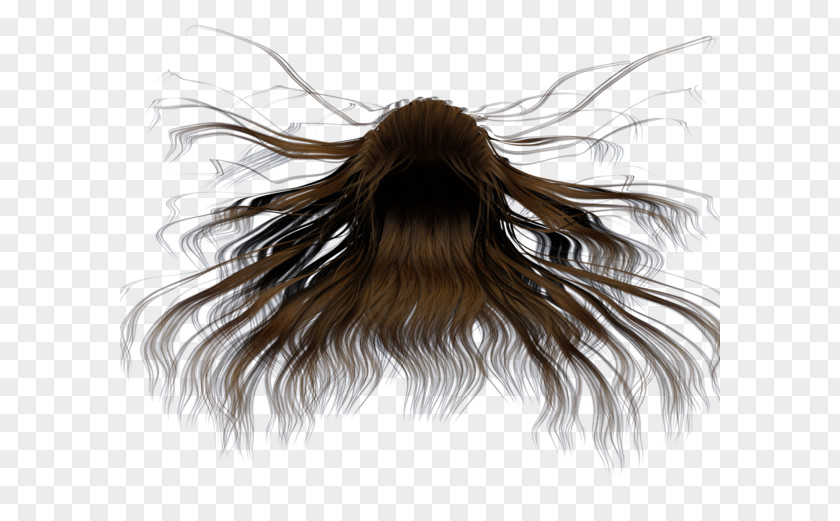 Long Hair Brown PNG