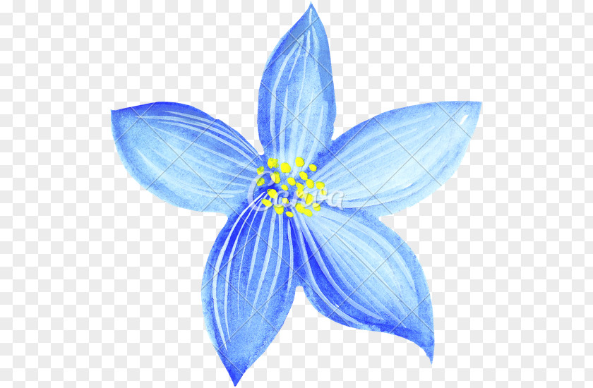 Pencil Drawing Watercolor Painting Blue Flower PNG