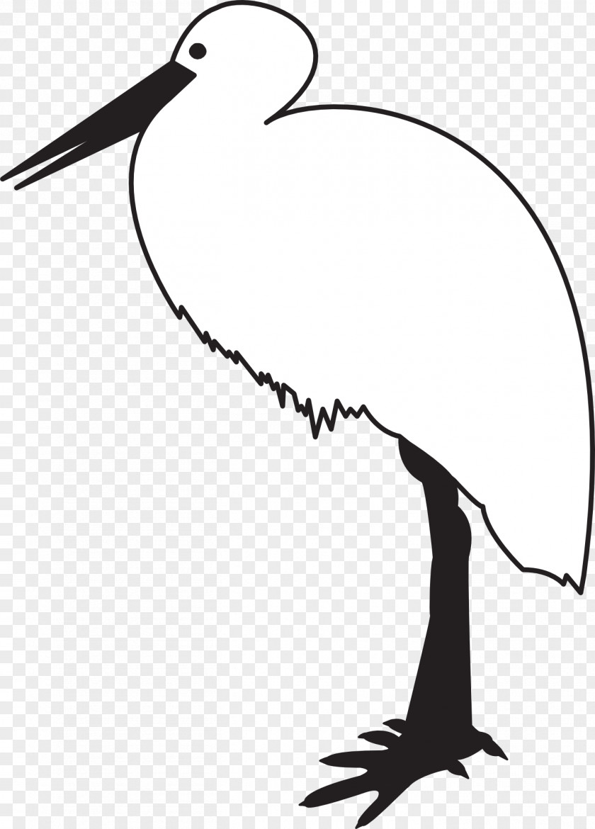 Stork White Bird Black And Clip Art PNG