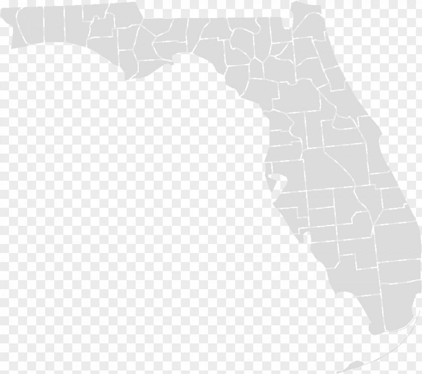 Fl United States Senate Election In Florida, 2018 US Presidential 2016 Elections, PNG