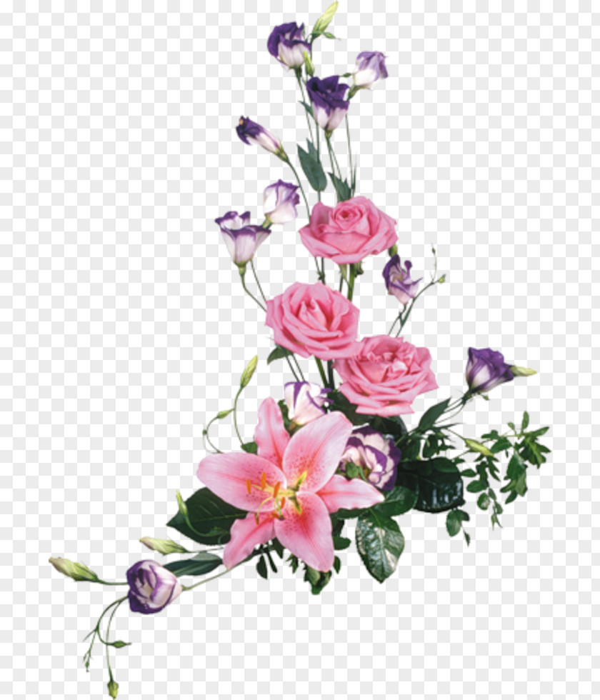 Flower Clip Art PNG