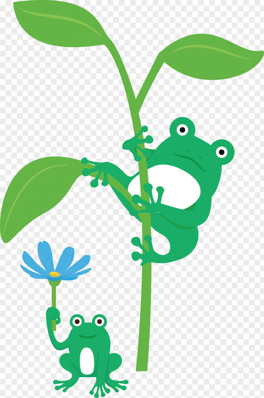 Frogs Leaf Tree Frog Plant Stem Animal Figurine PNG