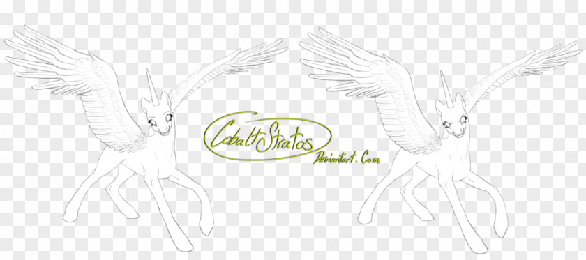 Hand Painted Unicorn Feather Line Art Cartoon Beak Sketch PNG