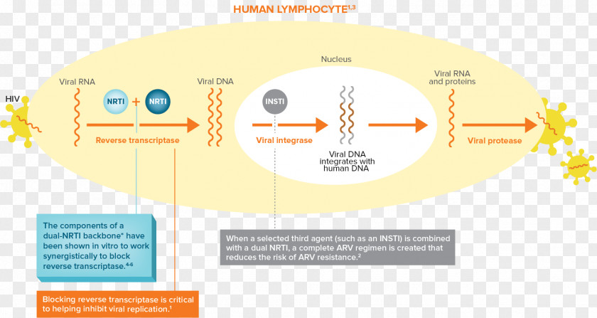 Mechanism Diagram Brand Organization PNG