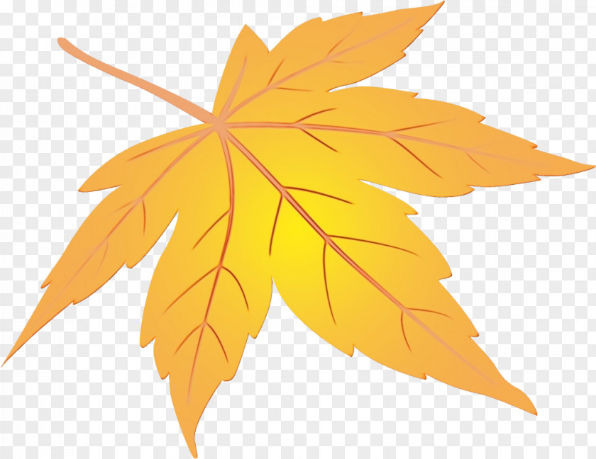 Plane Orange Maple Leaf PNG