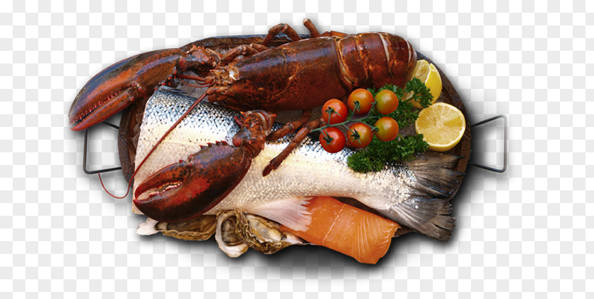 Shrimp Meat Mediterranean Cuisine Food Basin Fish Decapoda PNG