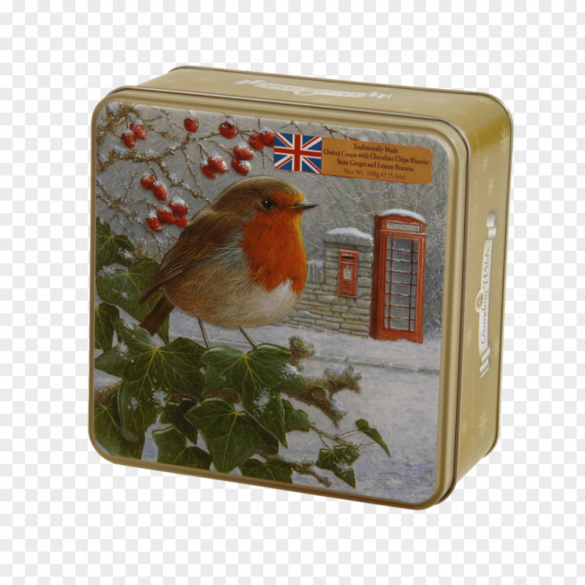 Box Biscuit Tin Can PNG