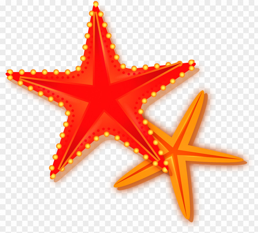 Cartoon Starfish Flag Of Senegal Fahne Algeria PNG