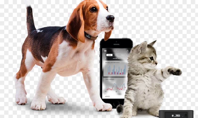 Cat Dog GPS Navigation Systems Tracking Unit System PNG