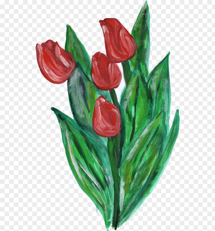 Flower Paint Flowering Plant Cut Flowers Tulip Liliaceae PNG