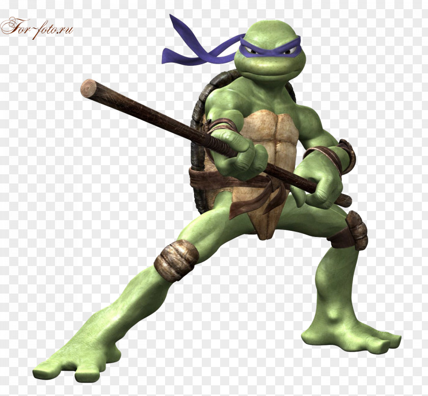 Ninja Turtles Leonardo Donatello Michelangelo Raphael Turtle PNG