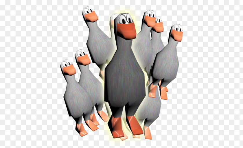 Penguin Cygnini Goose Duck Bird PNG