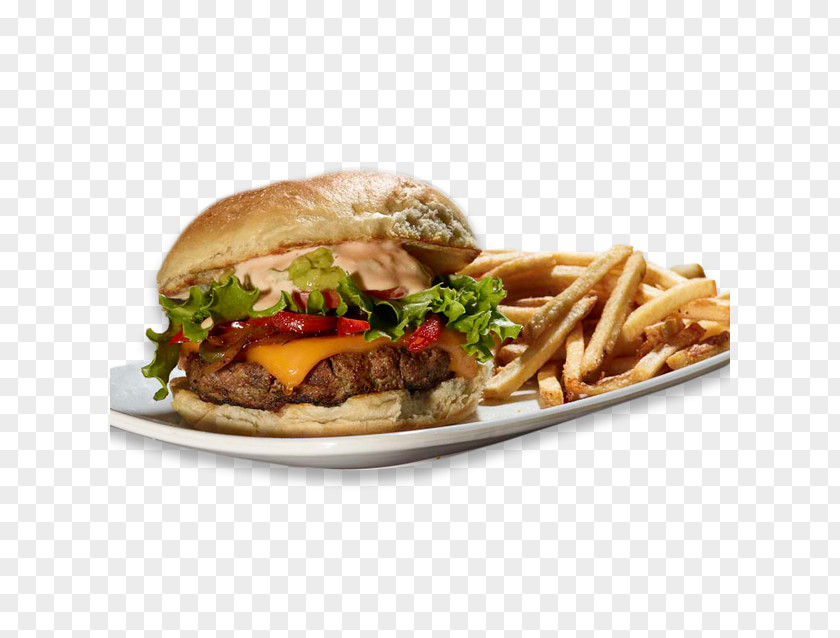 Salad French Fries Cheeseburger Breakfast Sandwich Buffalo Burger Hamburger PNG