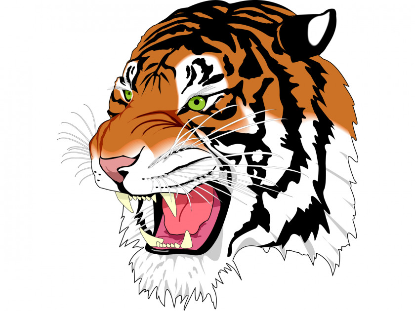 Tiger Image Download Tigers Rendering Librsvg ImageMagick PNG